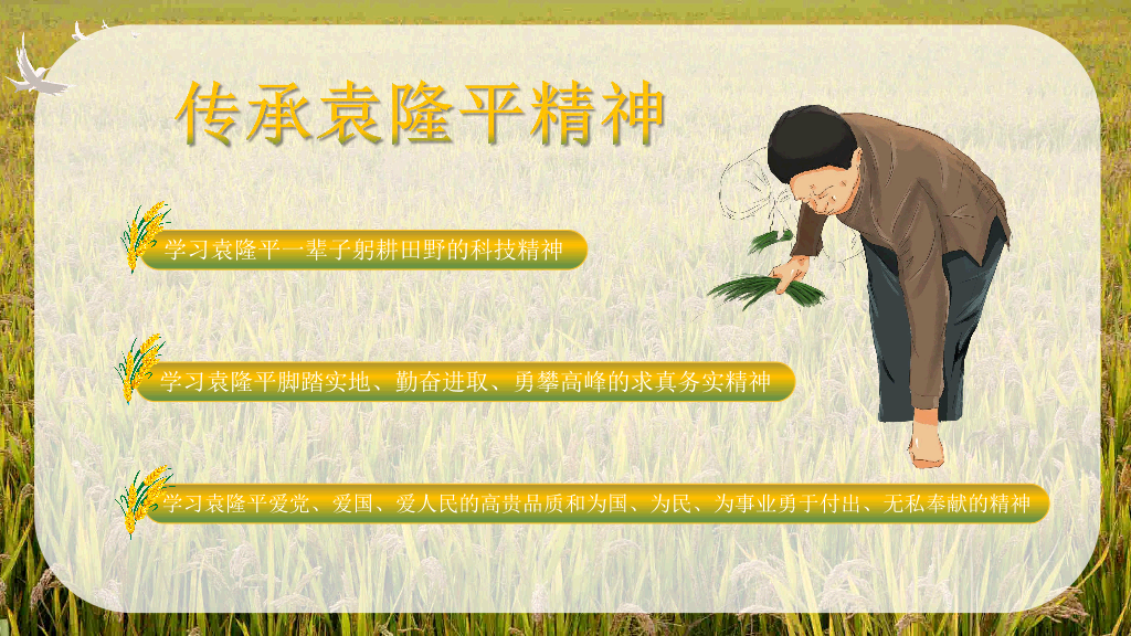 166#杂交水稻之父袁隆平-人物介绍