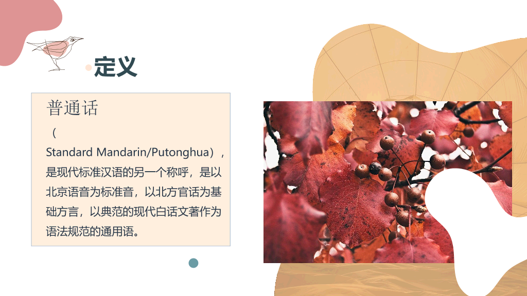 166#推广普通话PPT2