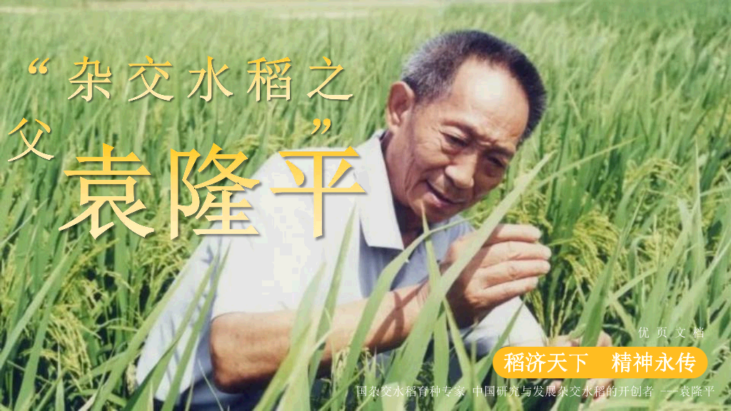 166#杂交水稻之父袁隆平-人物介绍