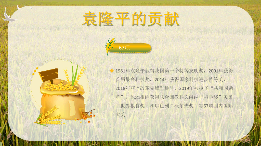 166#杂交水稻之父袁隆平-人物介绍