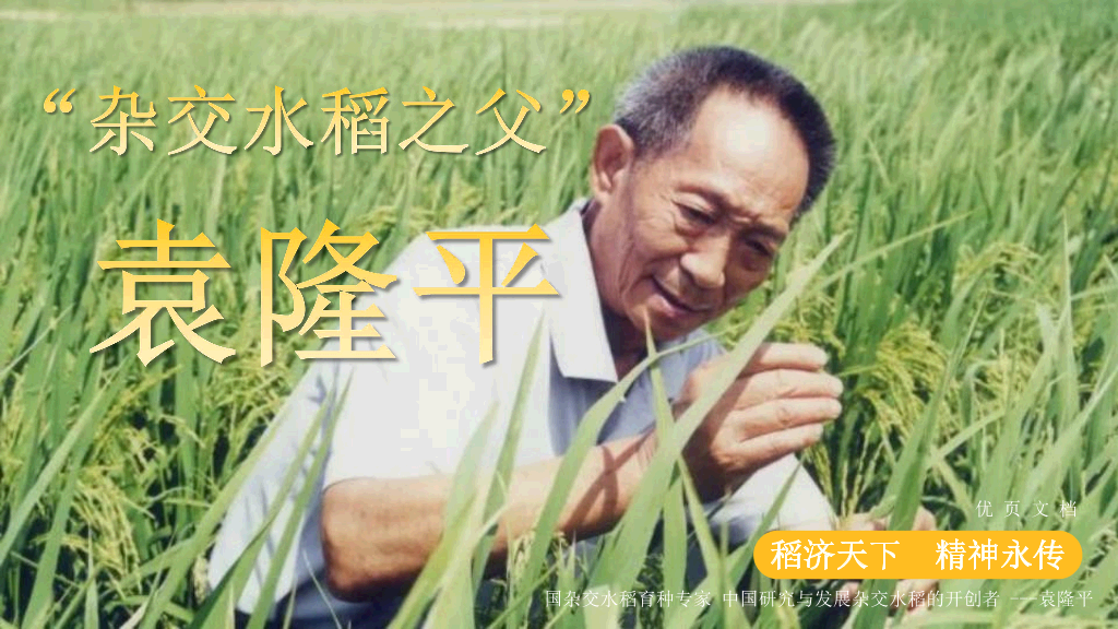 166#杂交水稻之父袁隆平-人物介绍