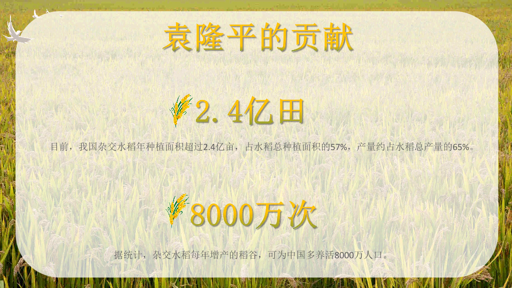 166#杂交水稻之父袁隆平-人物介绍