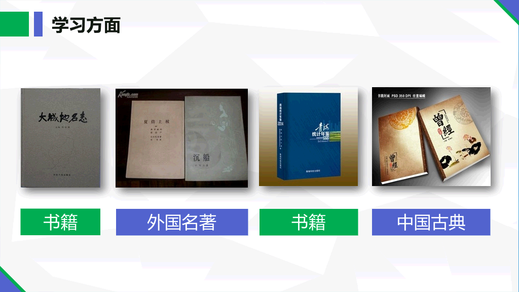 171#国家奖学金申请答辩PPT
