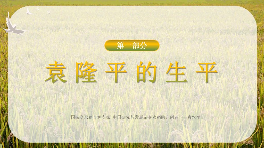 166#杂交水稻之父袁隆平-人物介绍