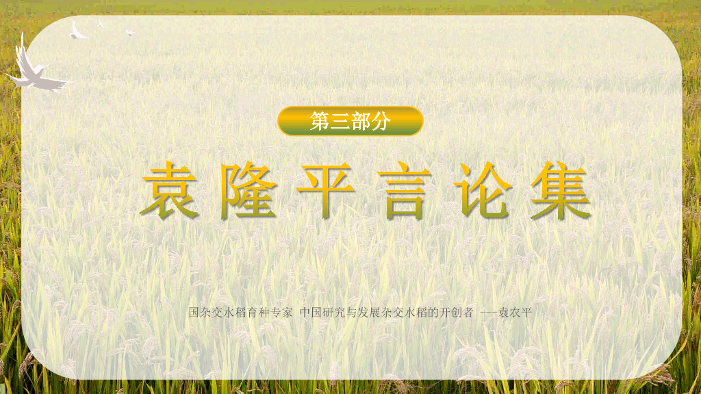 166#杂交水稻之父袁隆平-人物介绍