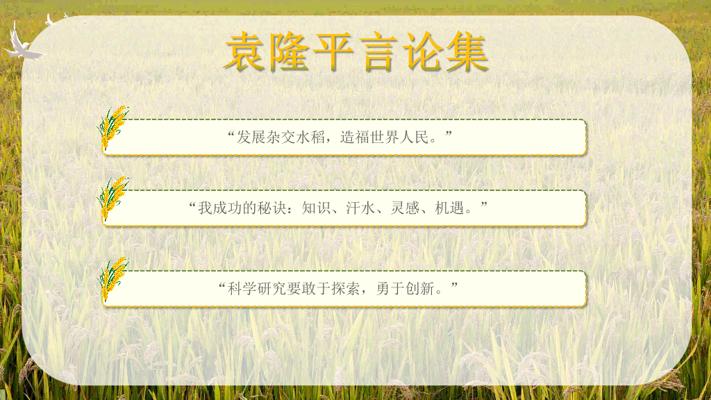 166#杂交水稻之父袁隆平-人物介绍