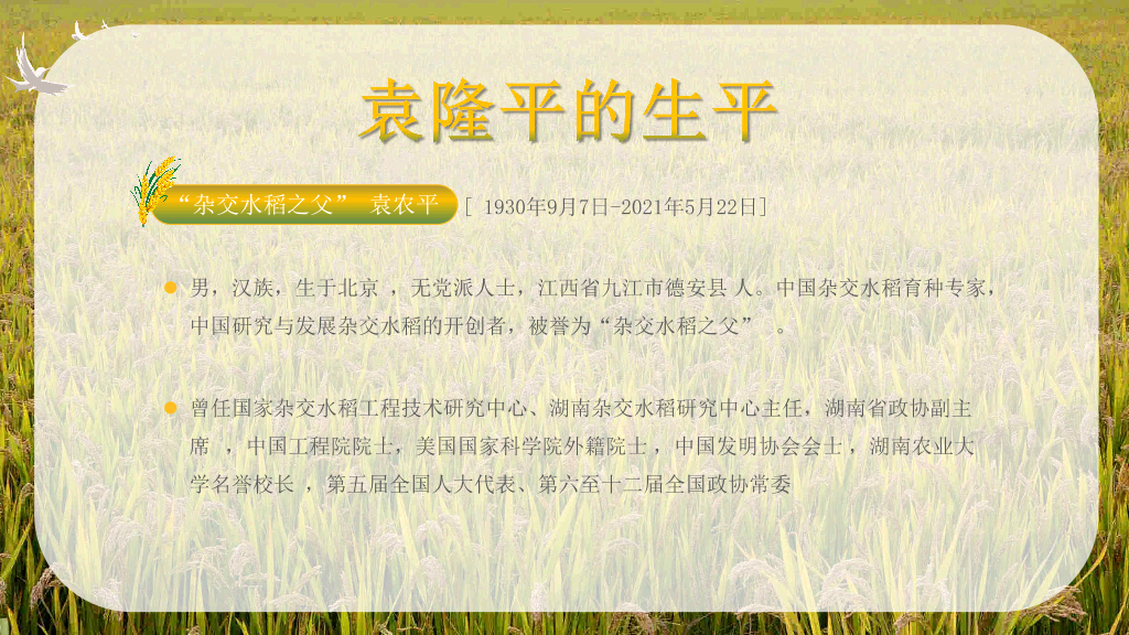 166#杂交水稻之父袁隆平-人物介绍