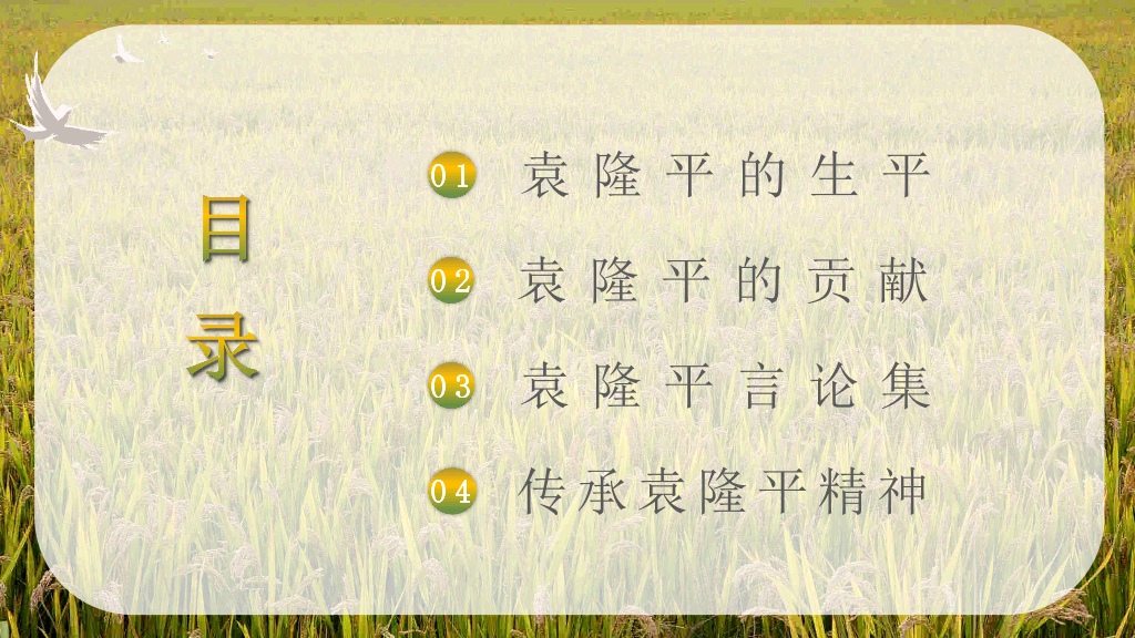 166#杂交水稻之父袁隆平-人物介绍