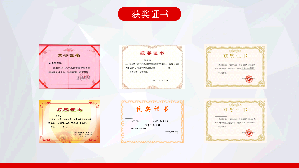 171#大学国家奖学金申请答辩PPT1