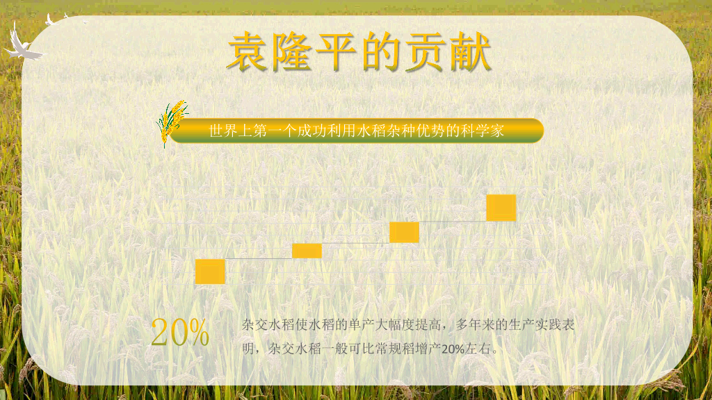 166#杂交水稻之父袁隆平-人物介绍