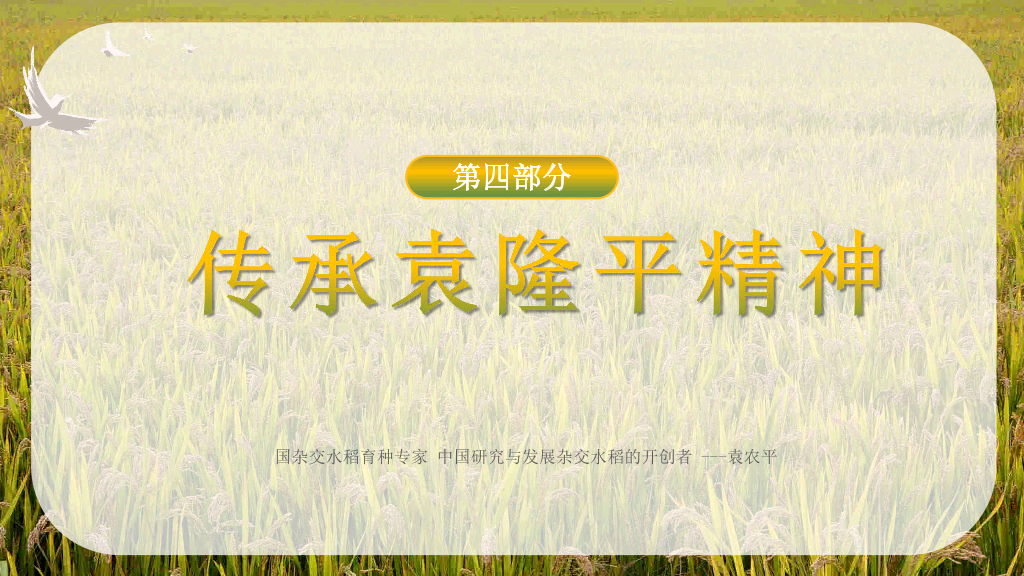 166#杂交水稻之父袁隆平-人物介绍