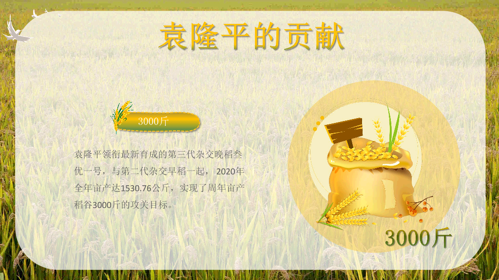 166#杂交水稻之父袁隆平-人物介绍