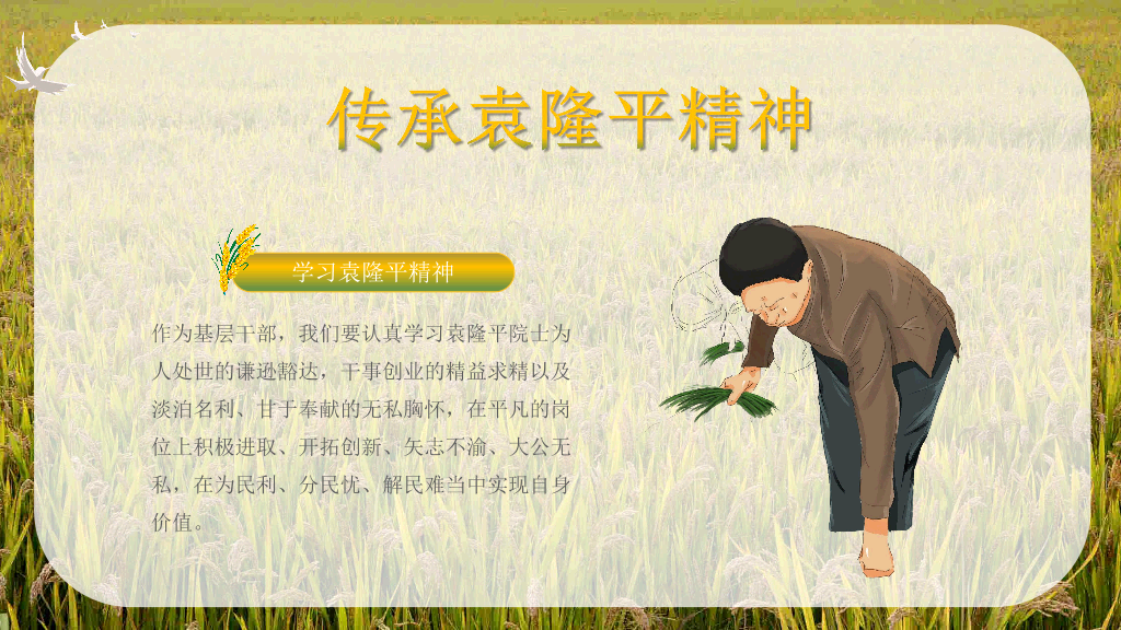 166#杂交水稻之父袁隆平-人物介绍
