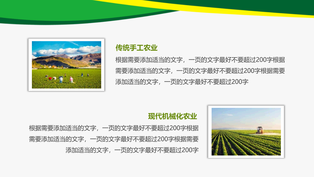 水稻玉米农业农产品PPT模板