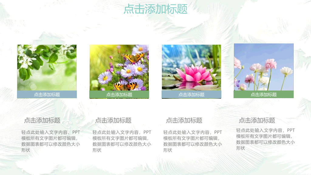 淡雅小清新羽毛通用PPT模板