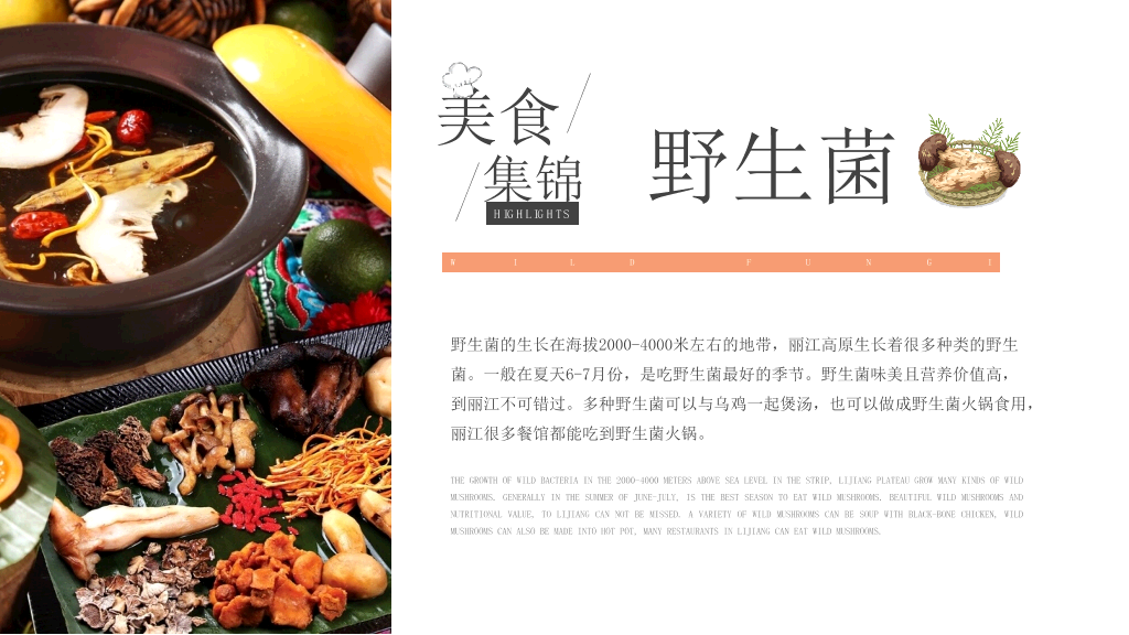 丽江旅游介绍宣传PPT模板