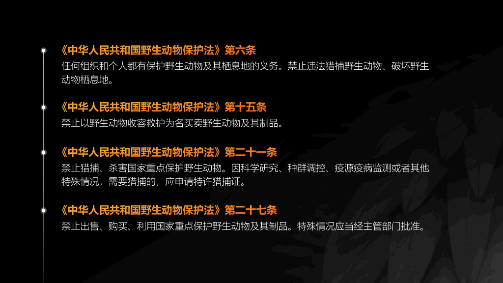 野生动物保护教育PPT模板
