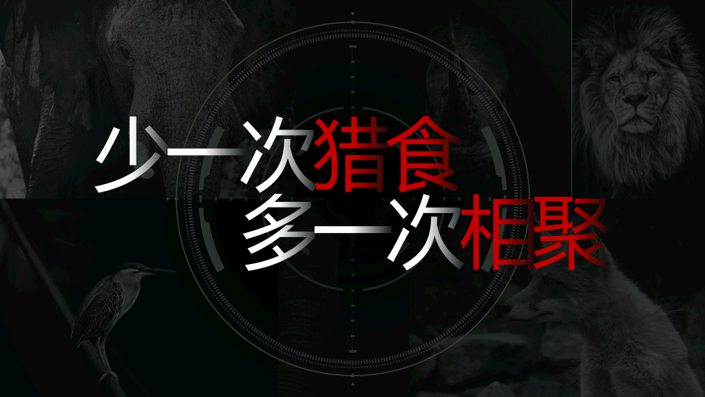 野生动物保护教育PPT模板