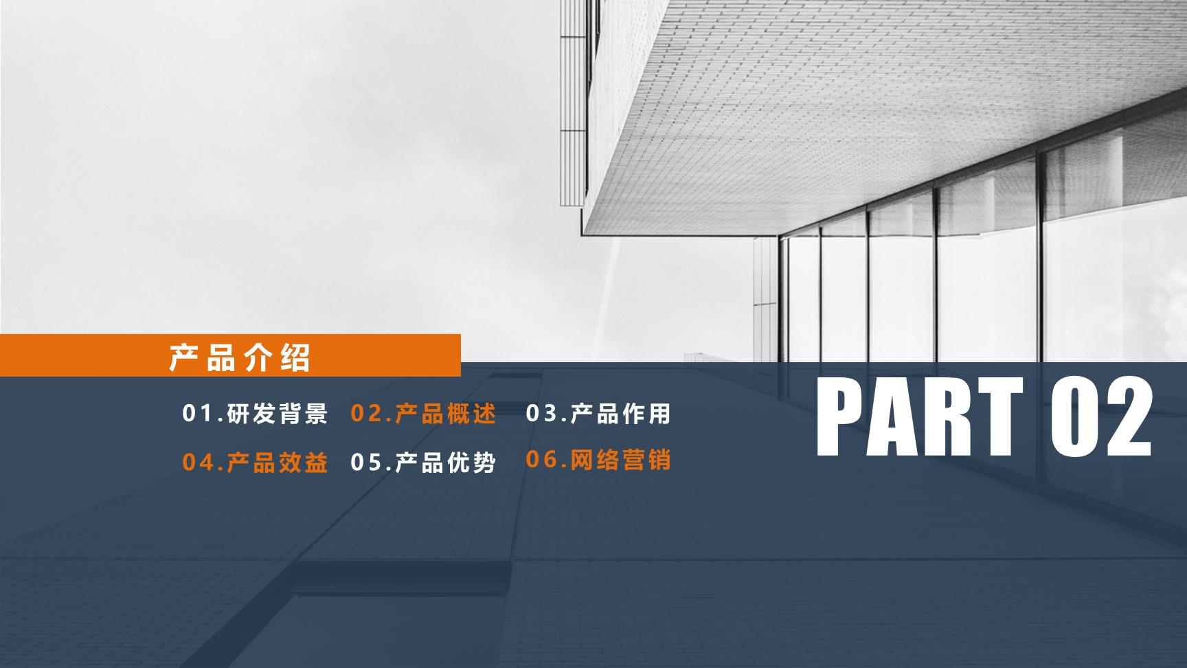 P57163