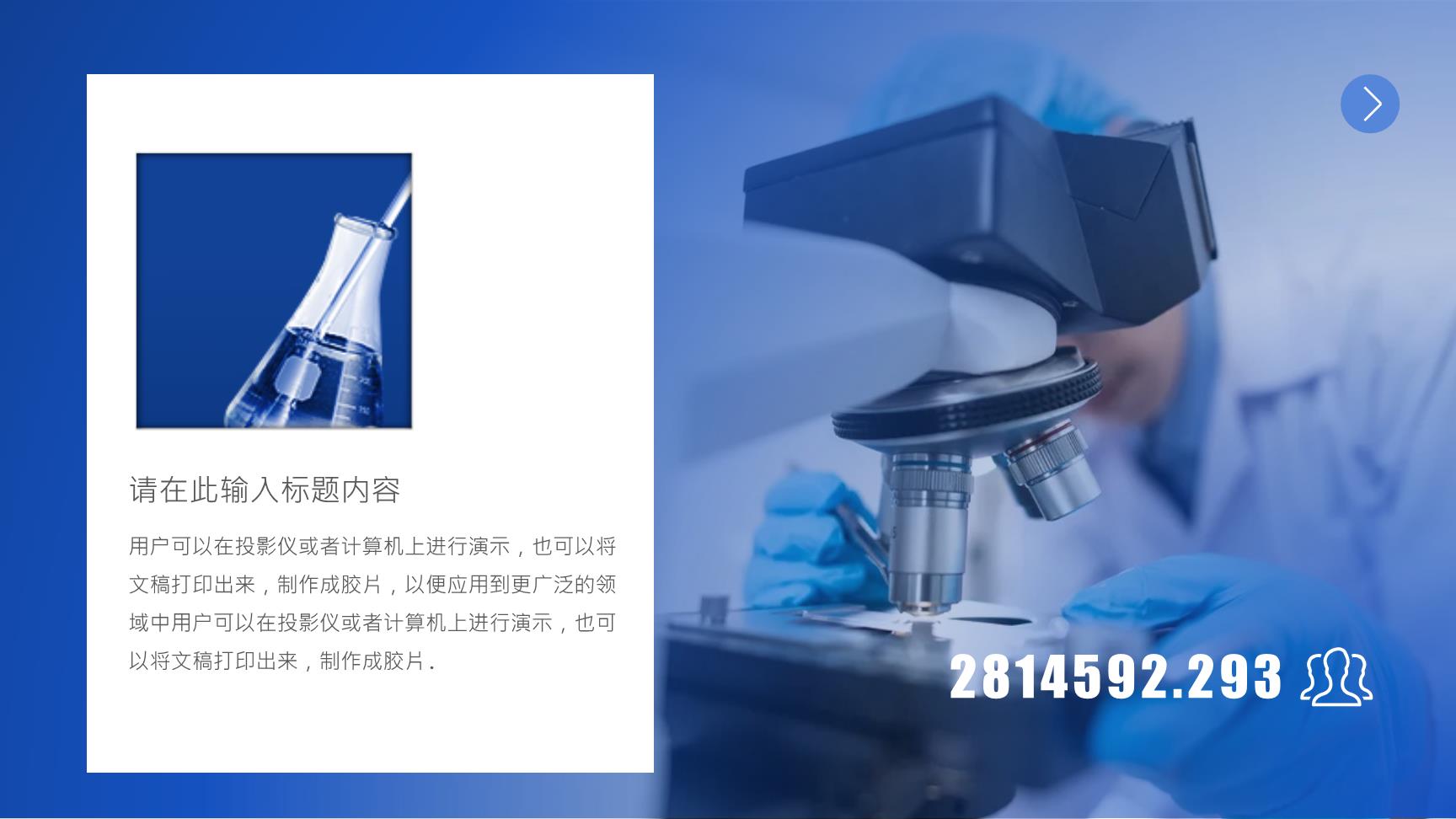 P17311