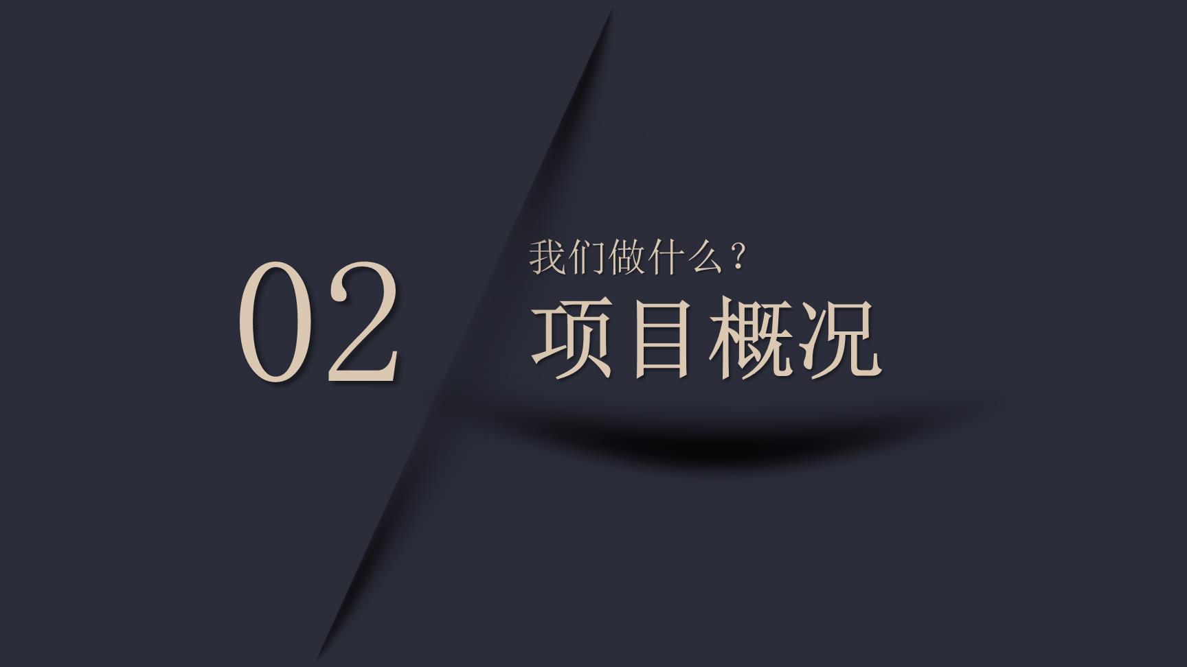 P65516