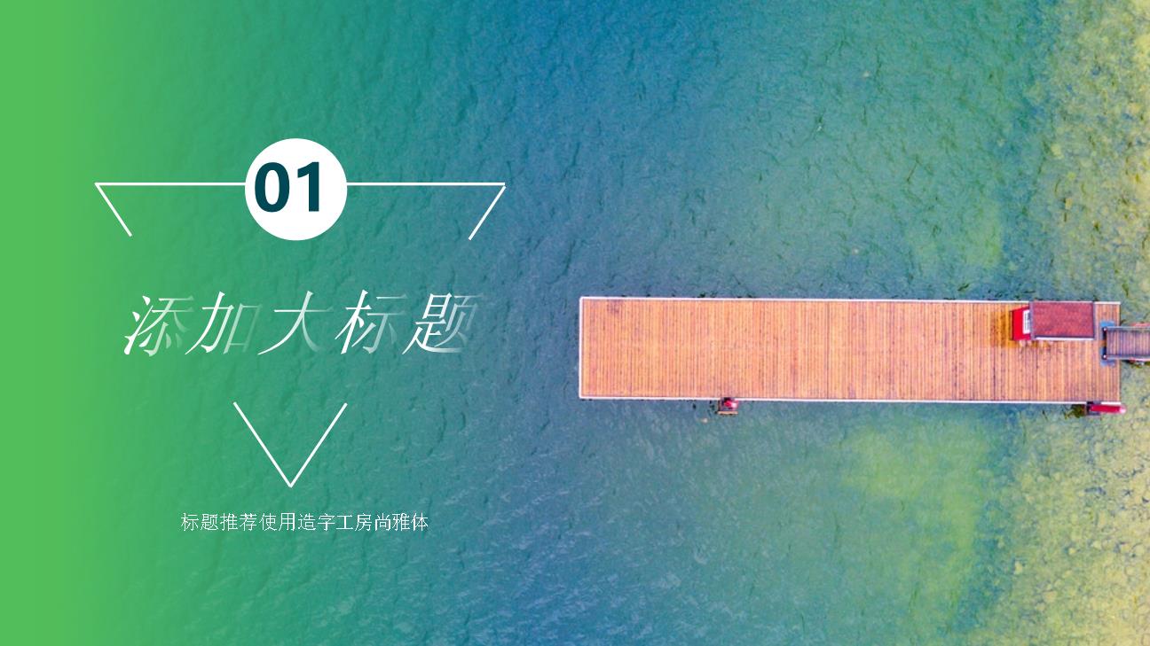 P14113