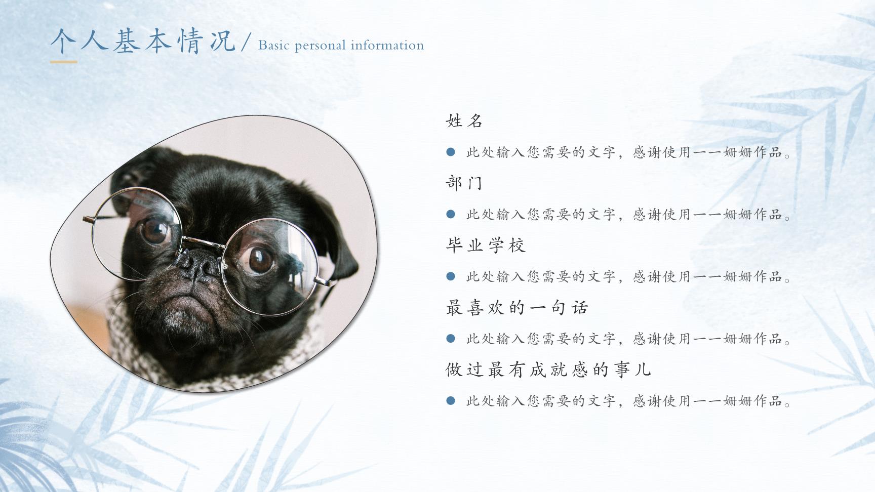 P11339