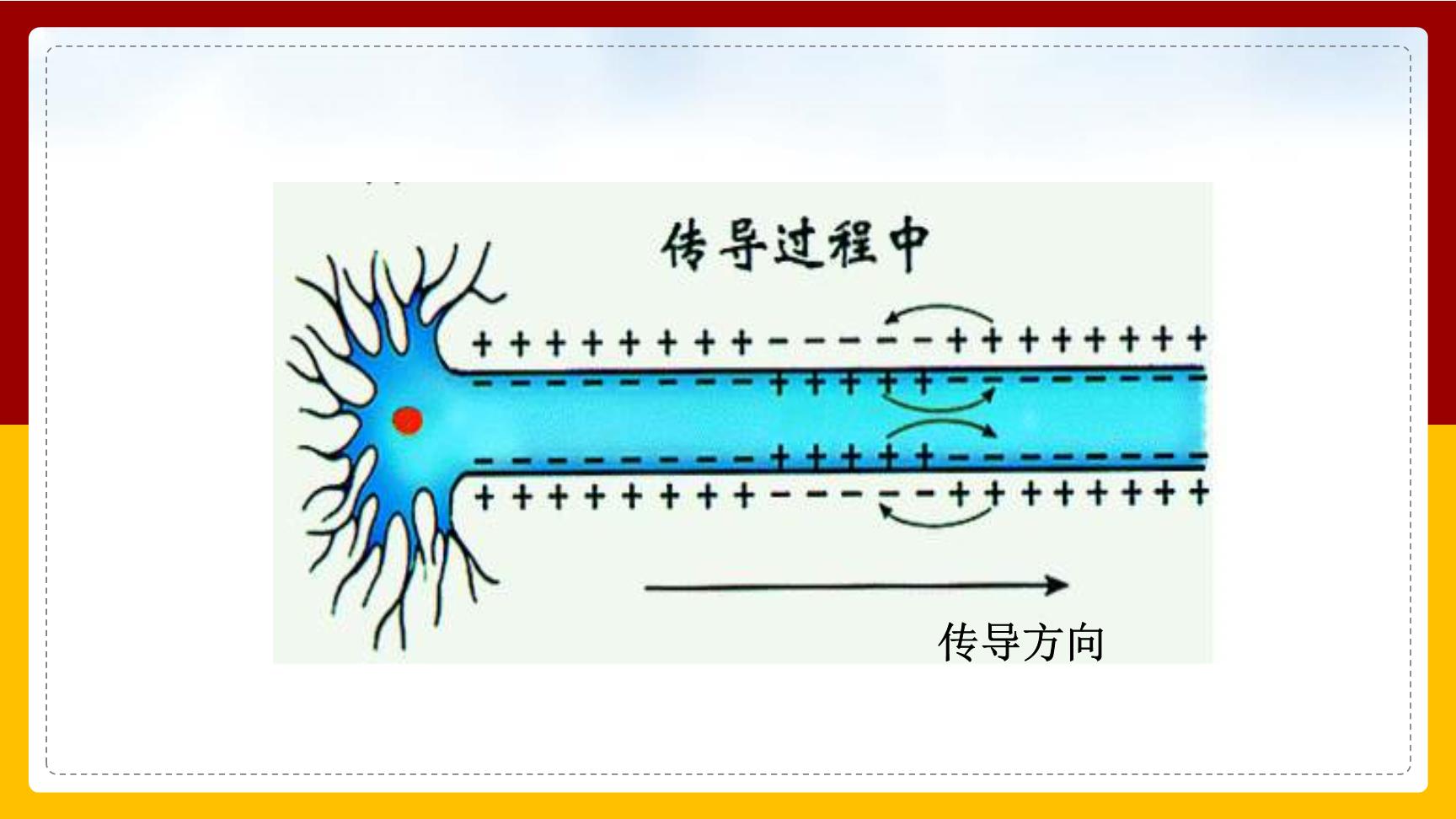 P95668