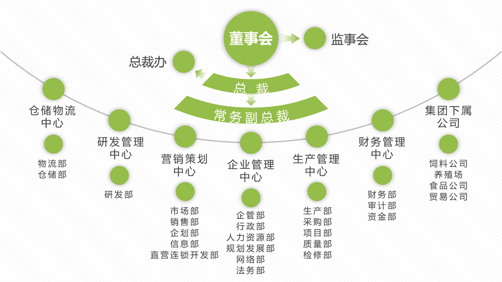 绿色组织结构PPT图表合集-20