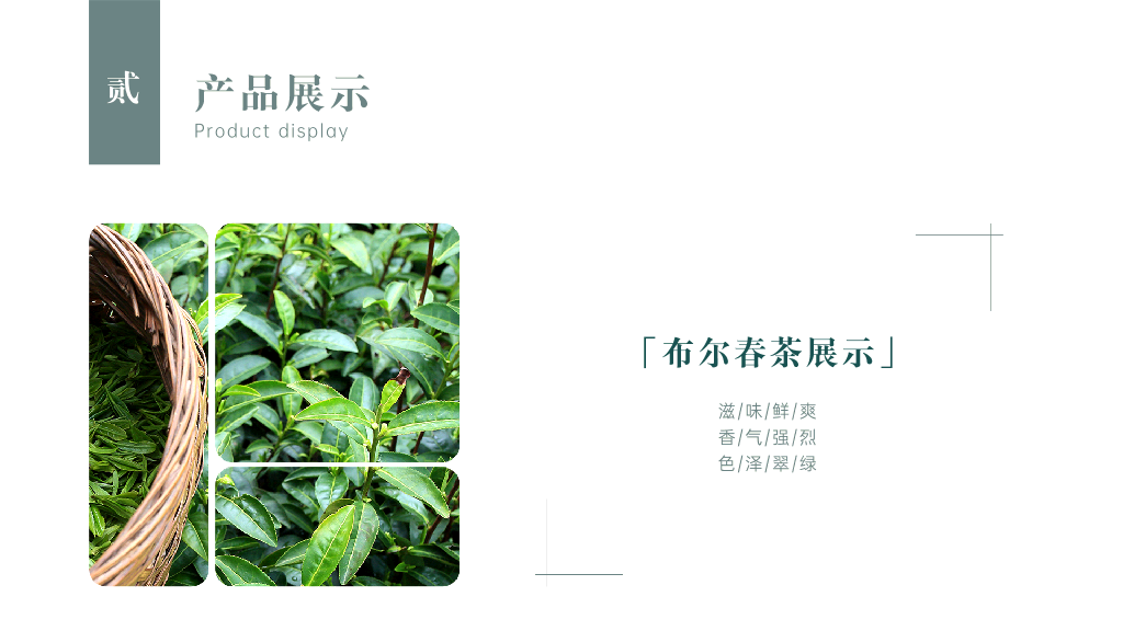 春茶产品介绍宣传手册PPT-2
