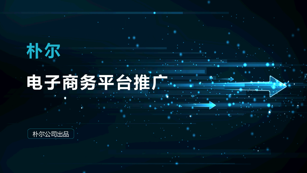 朴尔电子商务平台推广-1