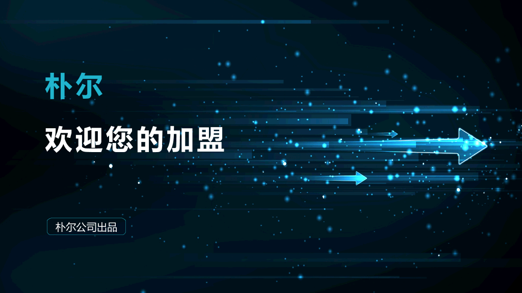 朴尔电子商务平台推广-8