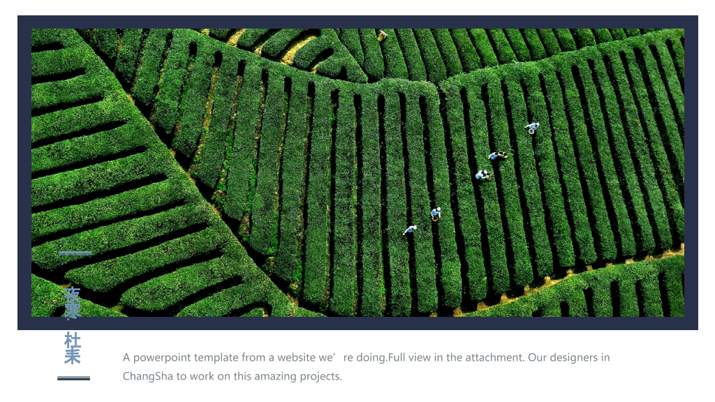 西江月茶词主题PPT模板-18