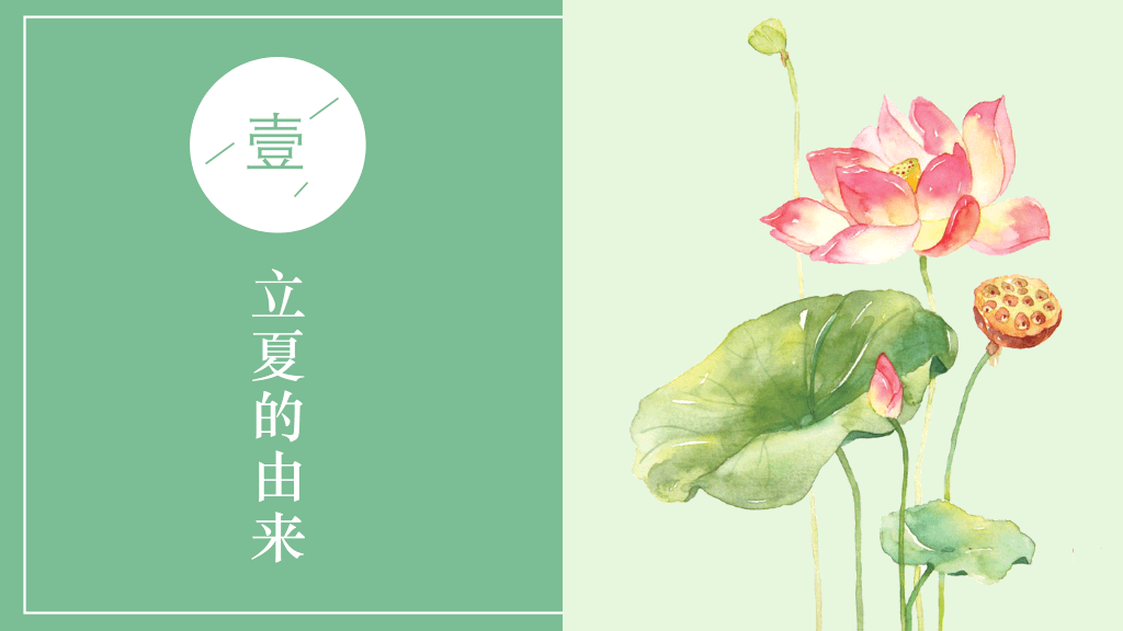 淡绿色清新立夏主题介绍-14