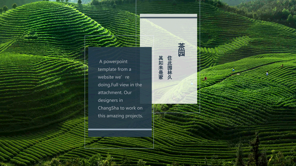 西江月茶词主题PPT模板-8