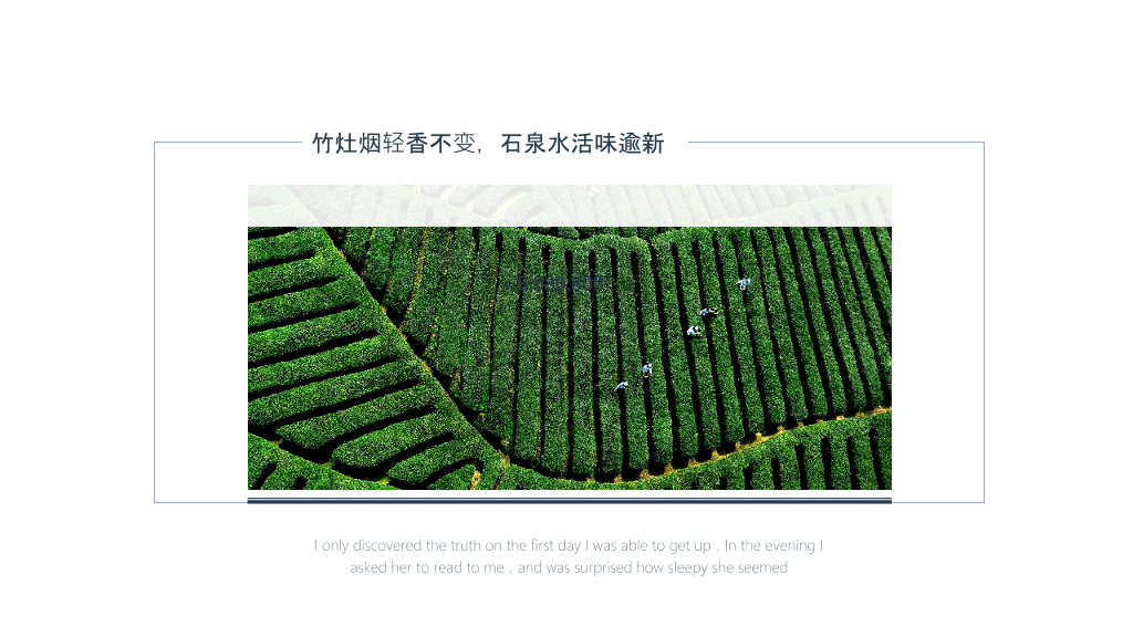 西江月茶词主题PPT模板-11